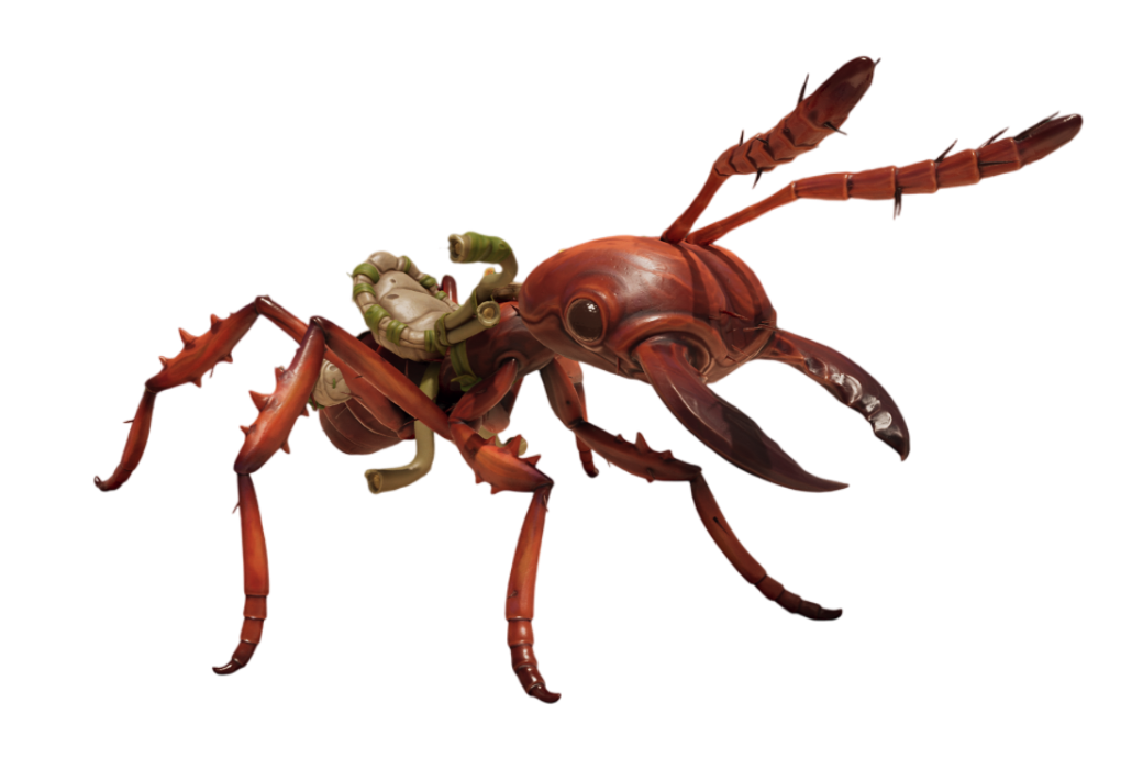 Red Soldier Ant Buggy